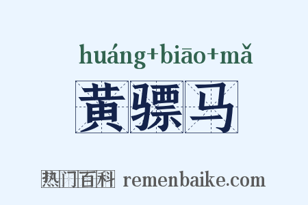 黄骠马是什么意思的图片